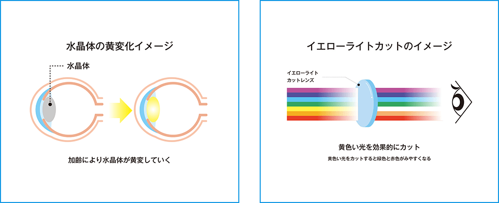 イエローライトカットレンズの機能