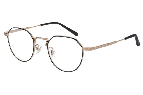 スペシャルプライス]洗練された印象のメタルフレーム（ZP222008-14E1
